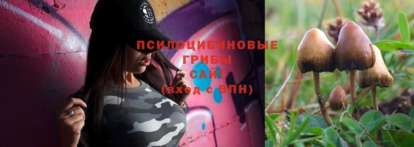 герыч Алзамай