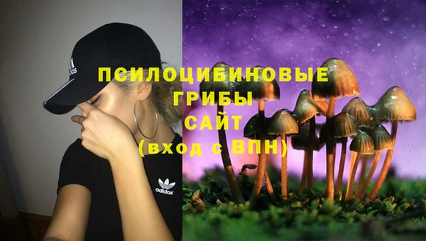 герыч Алзамай
