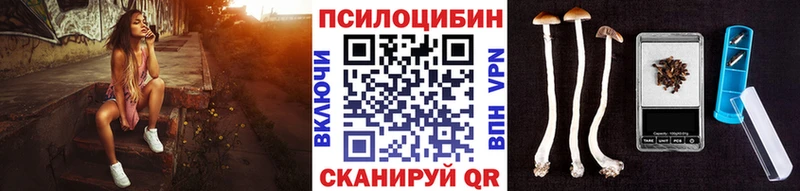 mega как войти  Далматово  Галлюциногенные грибы Magic Shrooms 